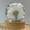 Dandelion Resin Nightlight with Base