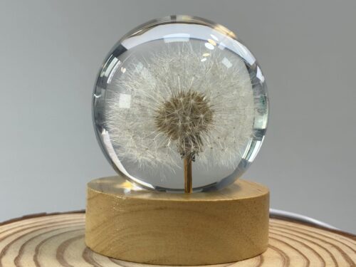 Dandelion Resin Nightlight with Base