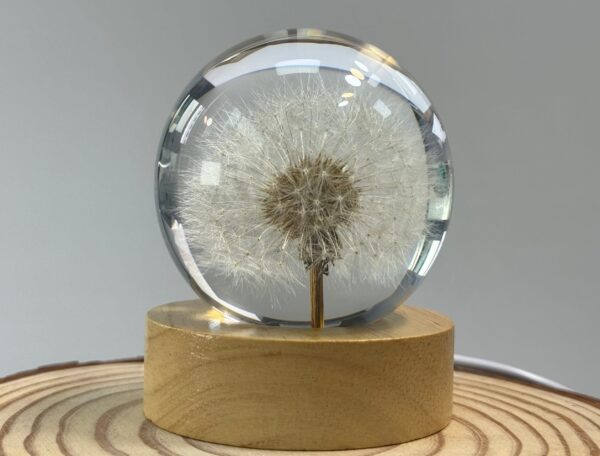 Dandelion Resin Nightlight with Base