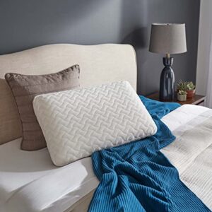 Tempur-Pedic TEMPUR-Cloud vs Coop Adjustable Pillow: Best?