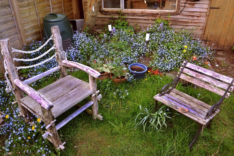 chairs, garden, seat