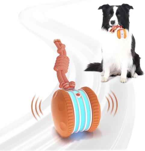 Automatic Irregular Rolling Interactive Dog Toy