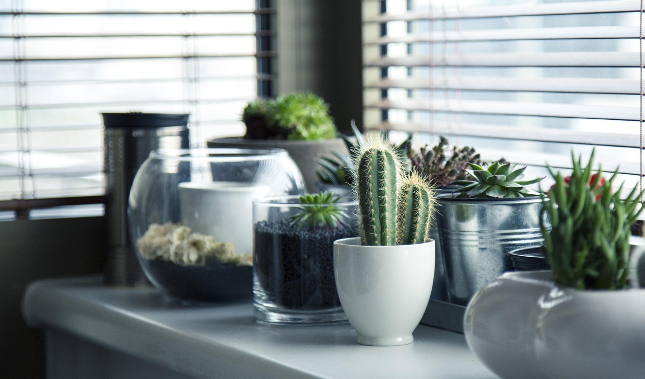 How to Live Green Without Losing Your Mind: Simple DIY Hacks