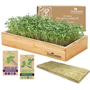 Self-Watering Microgreens Kit with Bamboo Frame